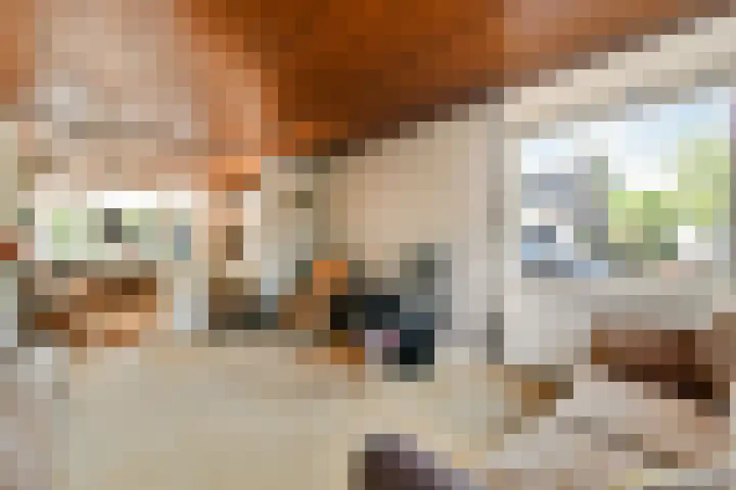 Koningin Wilhelminalaan 1 Hippolytushoef thumbnail 7