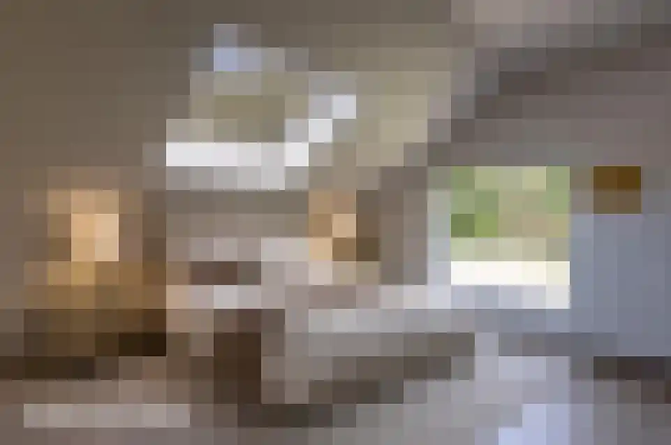 Koningin Wilhelminalaan 10 Wezep thumbnail 20