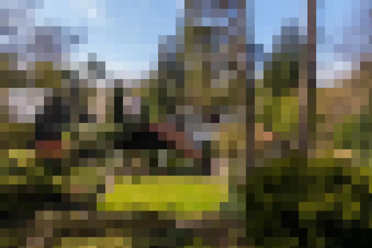 Koningin Wilhelminalaan 10 Wezep thumbnail 31