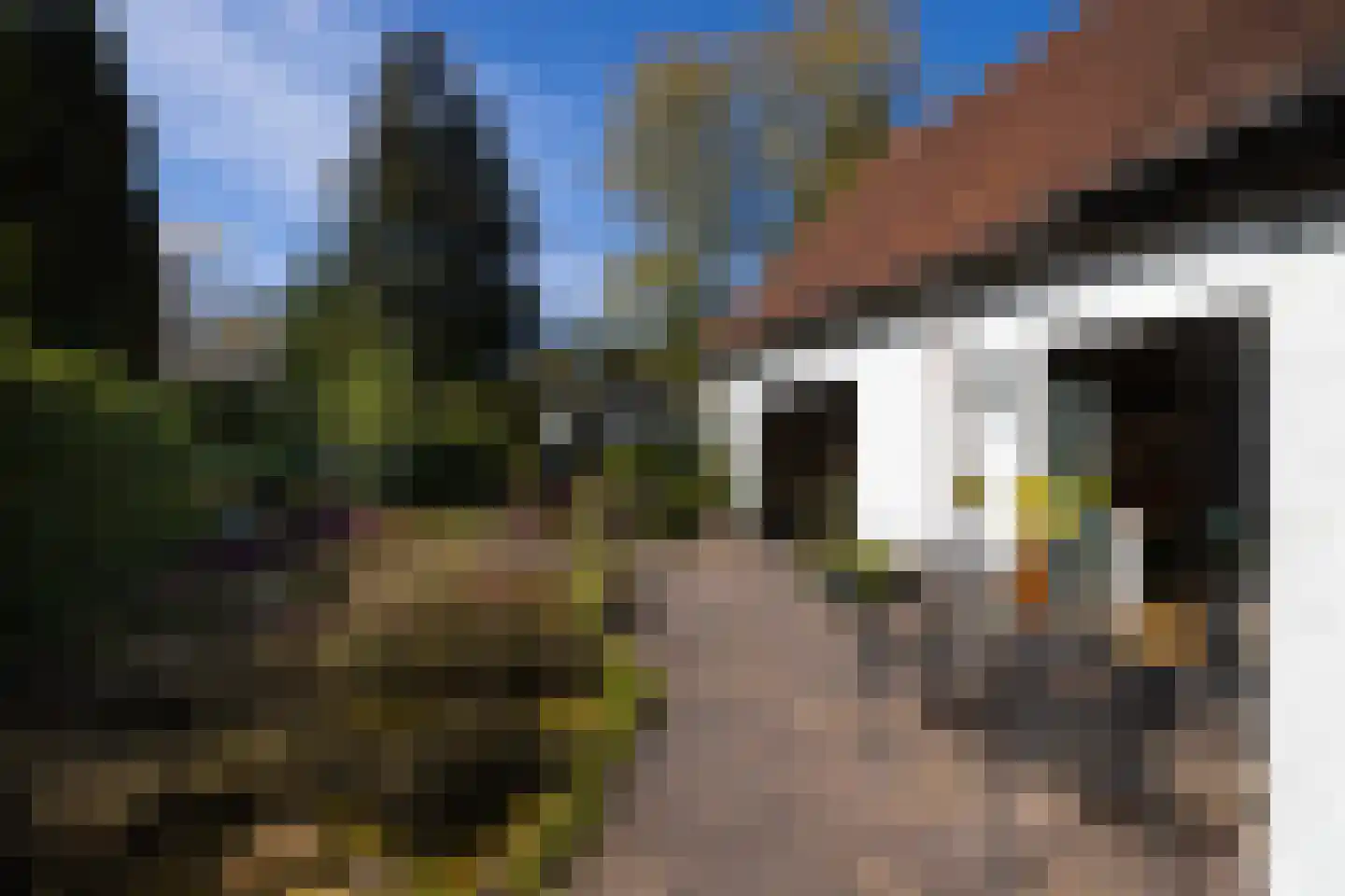 Koningin Wilhelminalaan 10 Wezep thumbnail 35