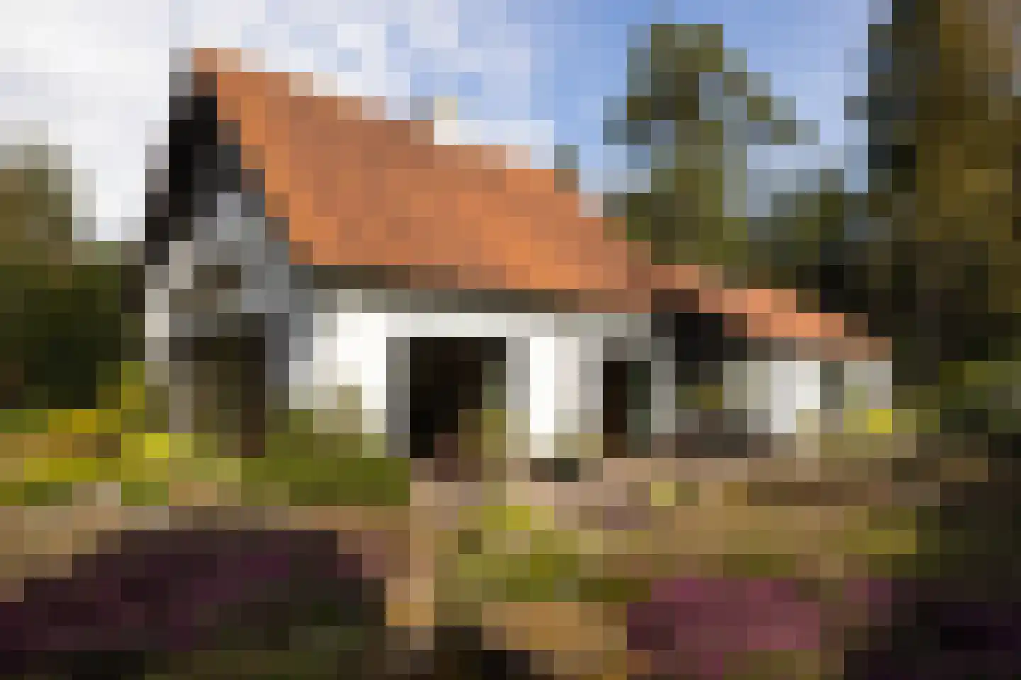 Koningin Wilhelminalaan 10 Wezep thumbnail 36