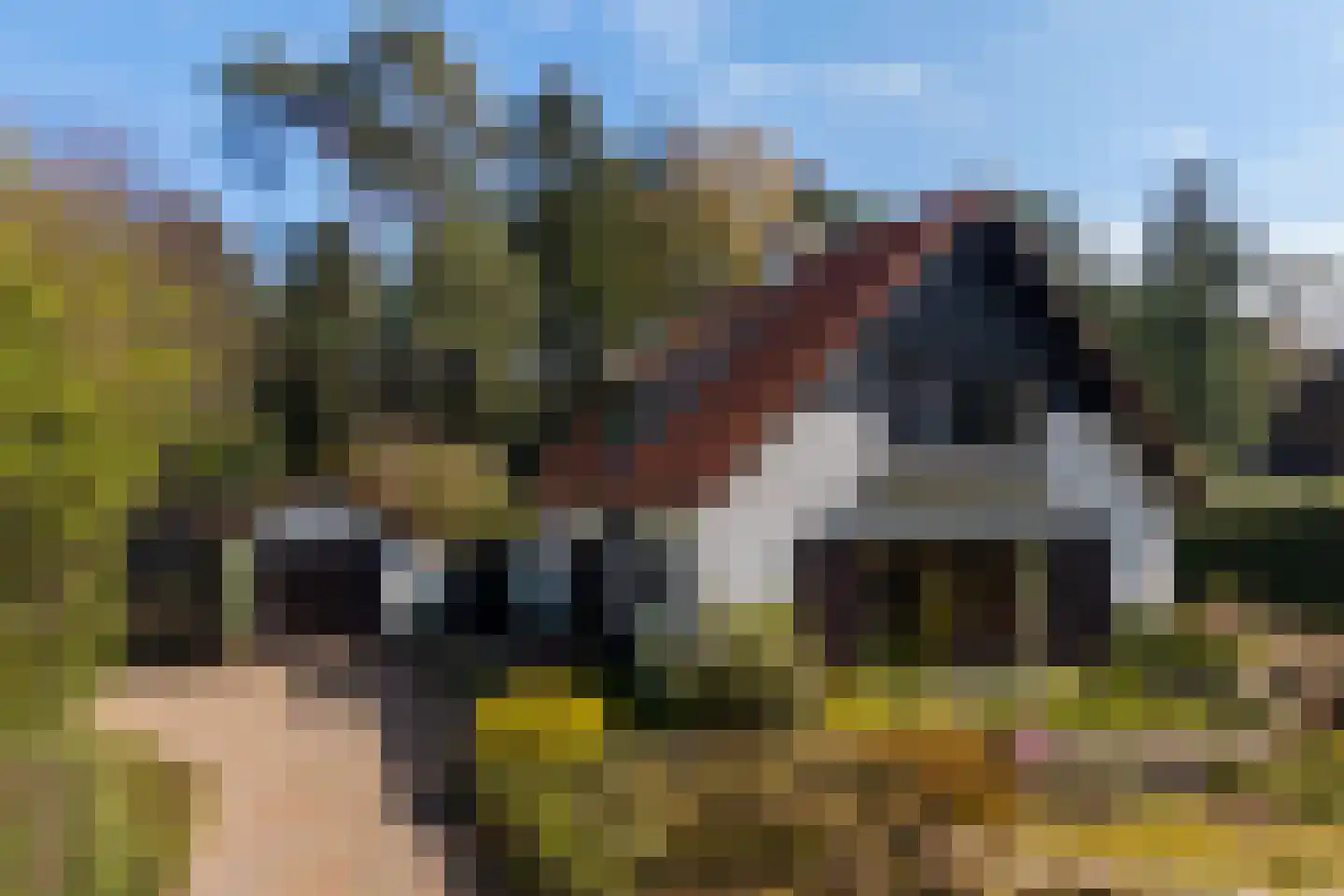 Koningin Wilhelminalaan 10 Wezep thumbnail 38