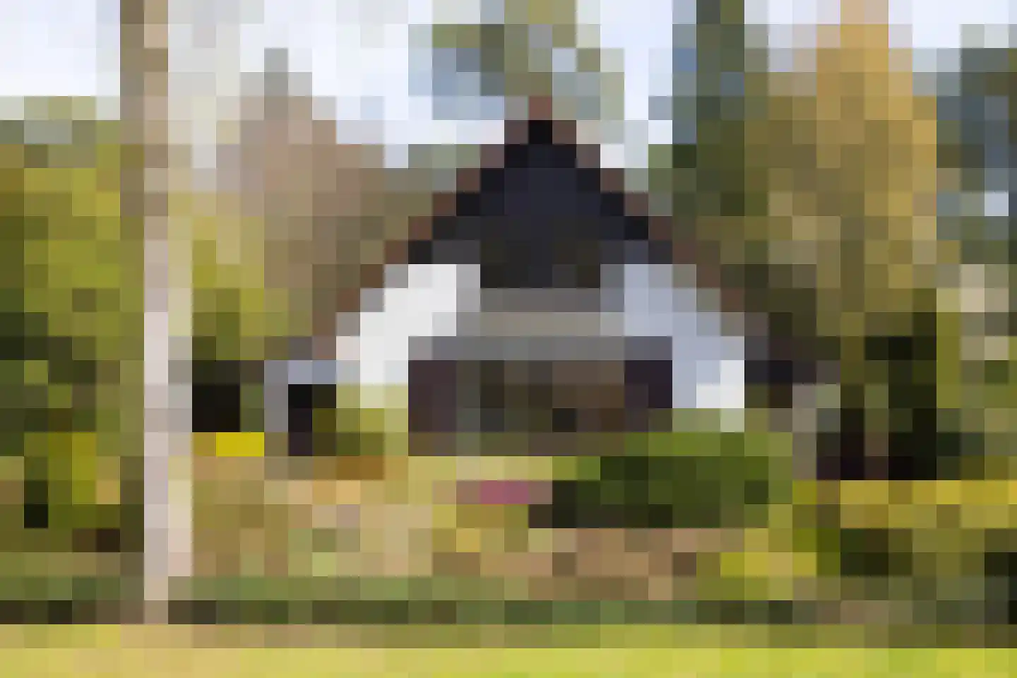 Koningin Wilhelminalaan 10 Wezep thumbnail 39