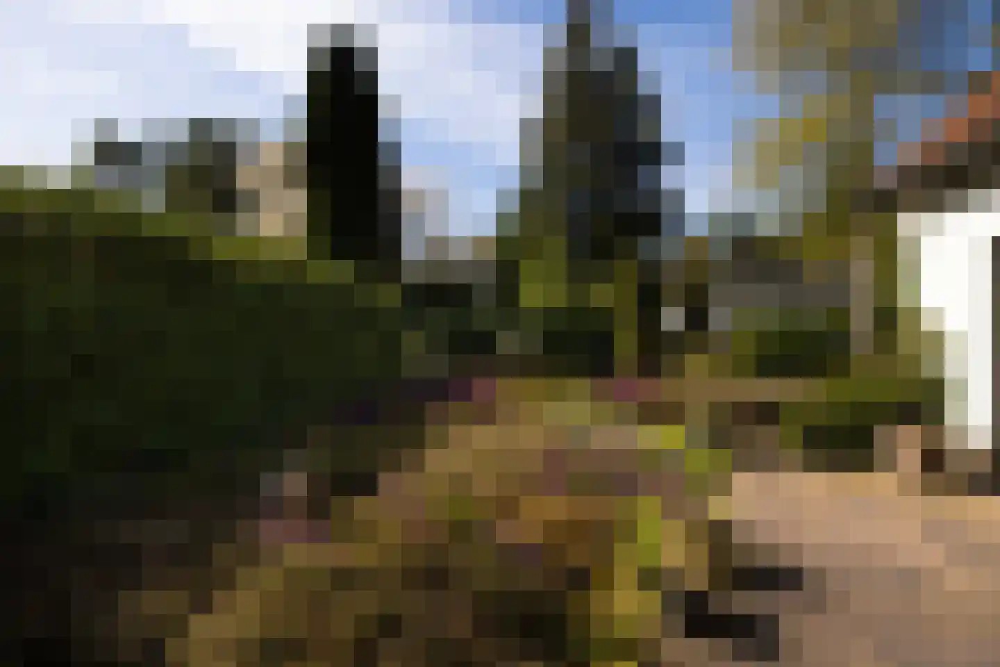 Koningin Wilhelminalaan 10 Wezep thumbnail 4