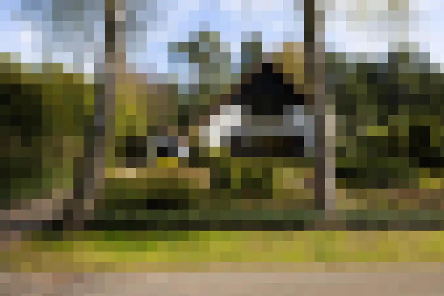 Koningin Wilhelminalaan 10 Wezep thumbnail 40