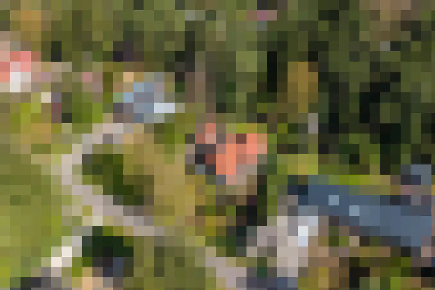 Koningin Wilhelminalaan 10 Wezep thumbnail 43