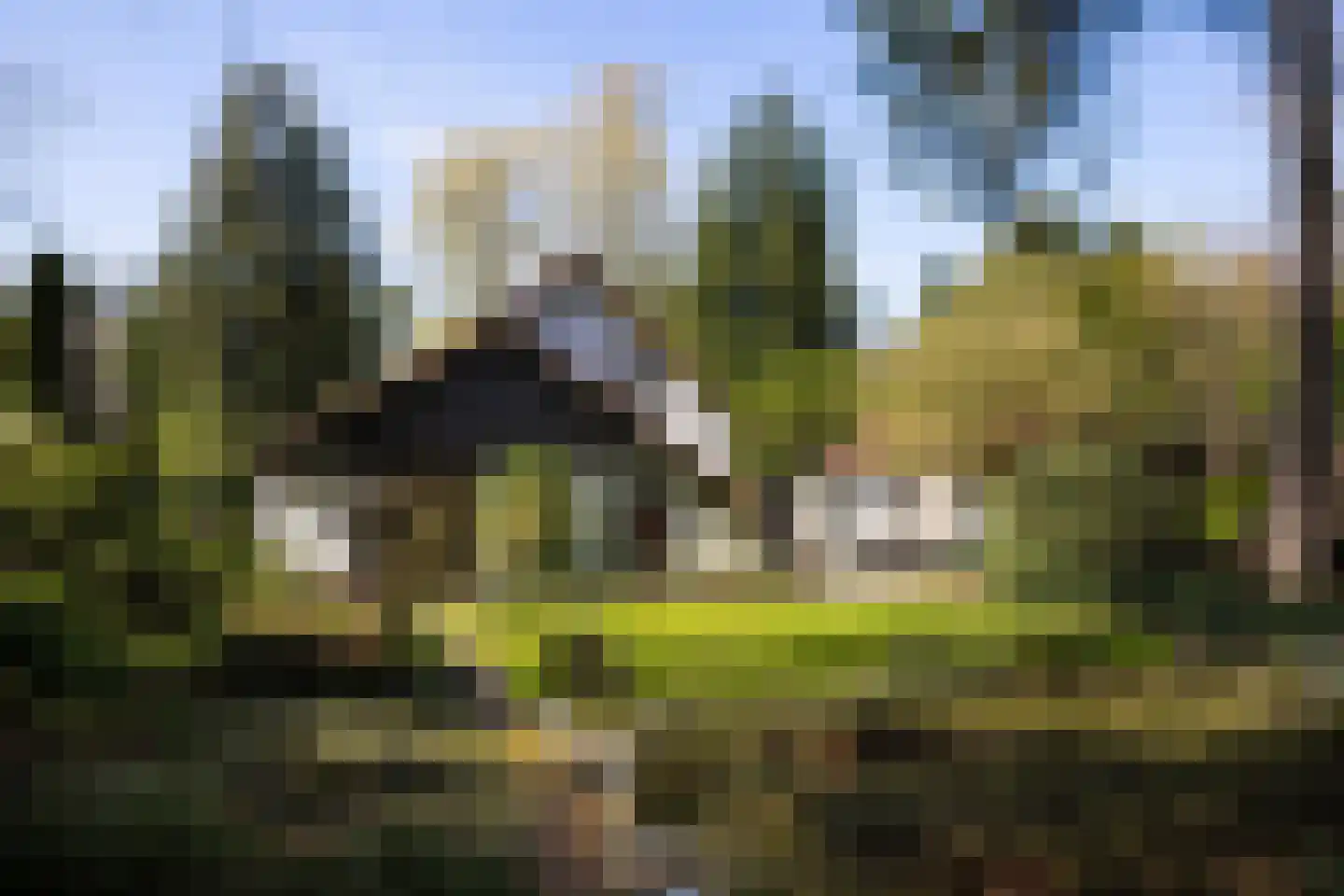 Koningin Wilhelminalaan 10 Wezep thumbnail 5