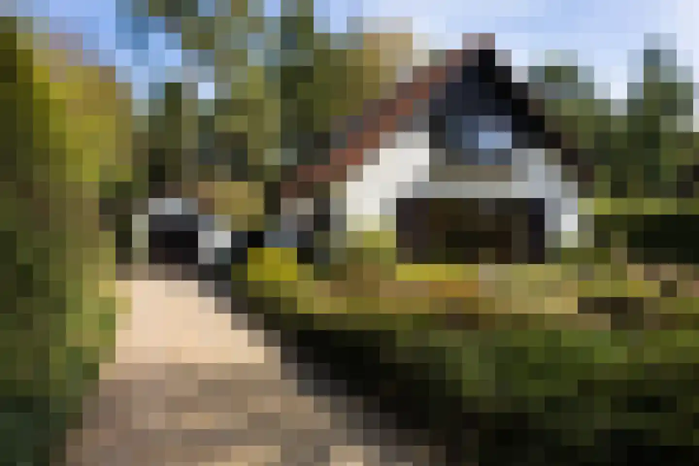 Koningin Wilhelminalaan 10 Wezep thumbnail 7
