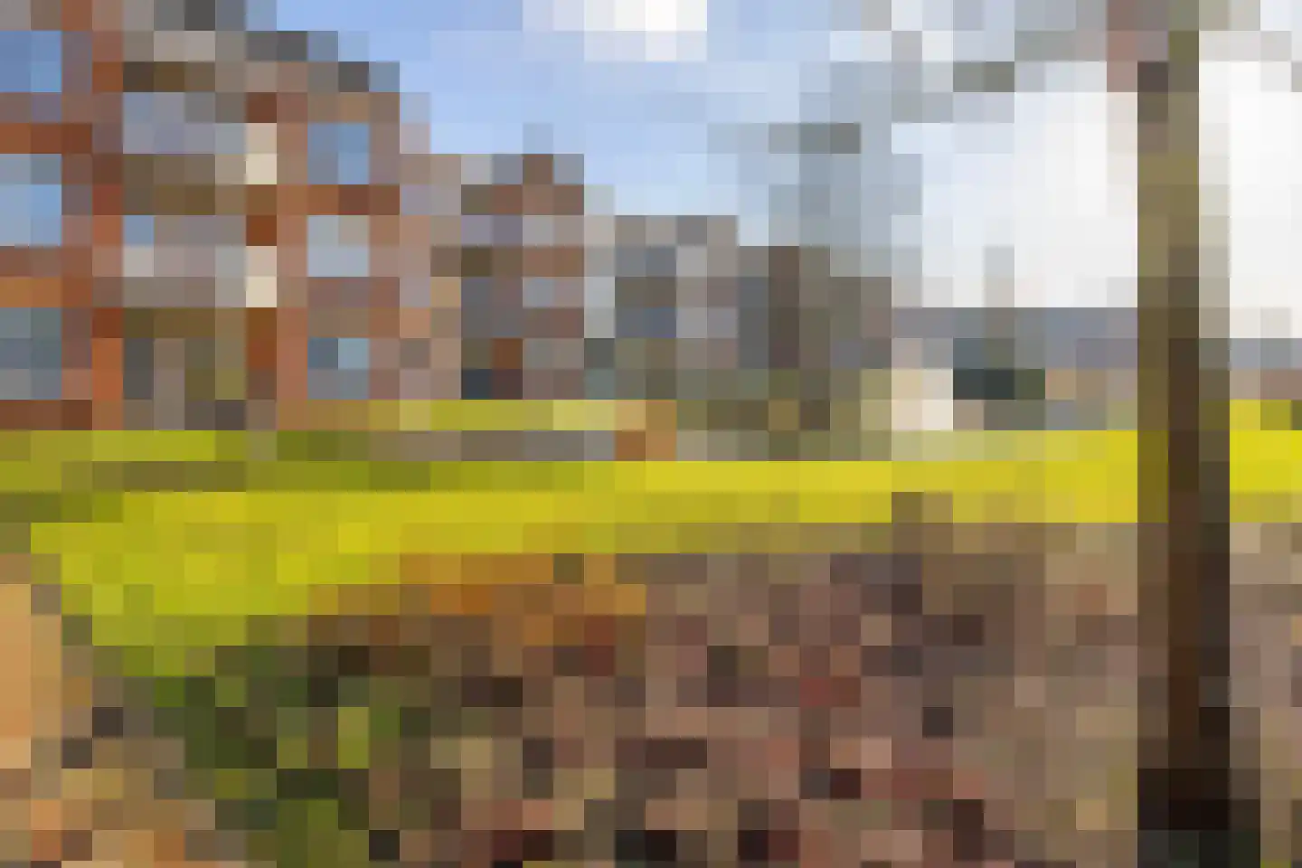 Koningin Wilhelminalaan 101 Hardinxveld-Giessendam thumbnail 28