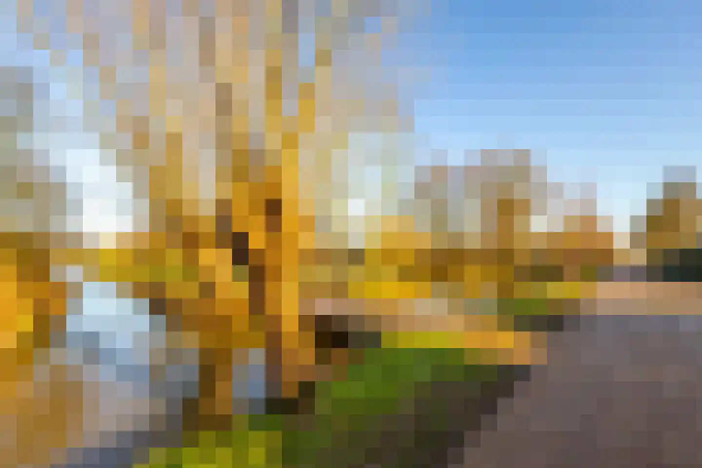 Koningin Wilhelminalaan 101 Hardinxveld-Giessendam thumbnail 29