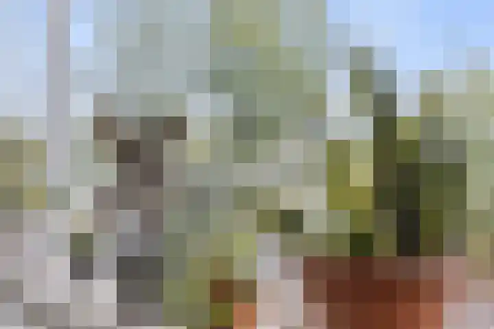 Koningin Wilhelminalaan 103 Utrecht thumbnail 13