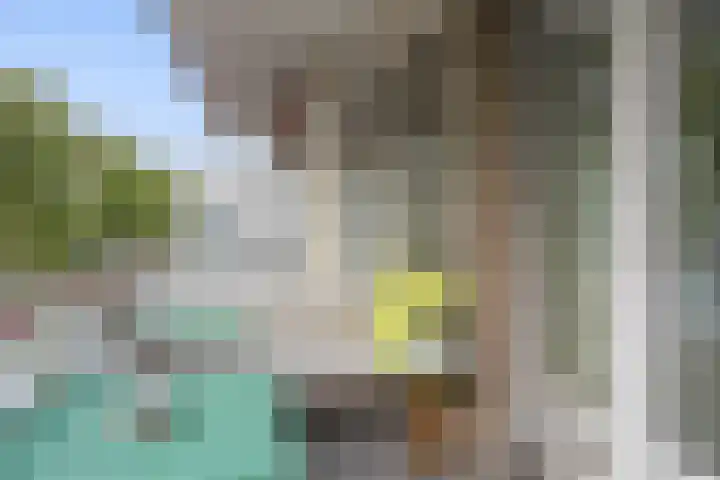 Koningin Wilhelminalaan 103 Utrecht thumbnail 19
