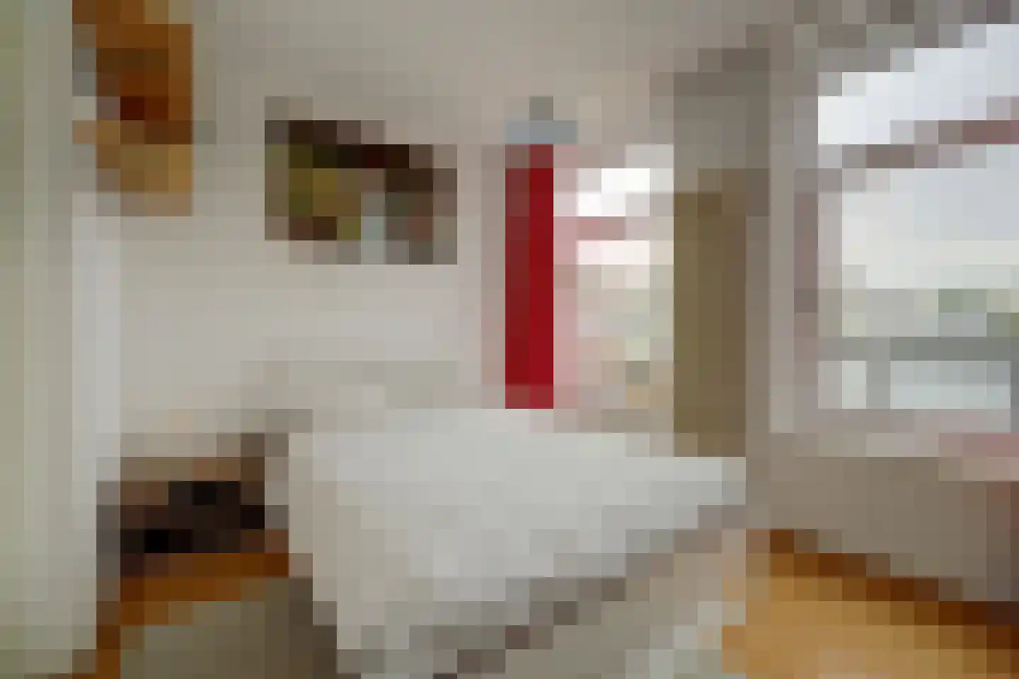 Koningin Wilhelminalaan 105 Utrecht thumbnail 30