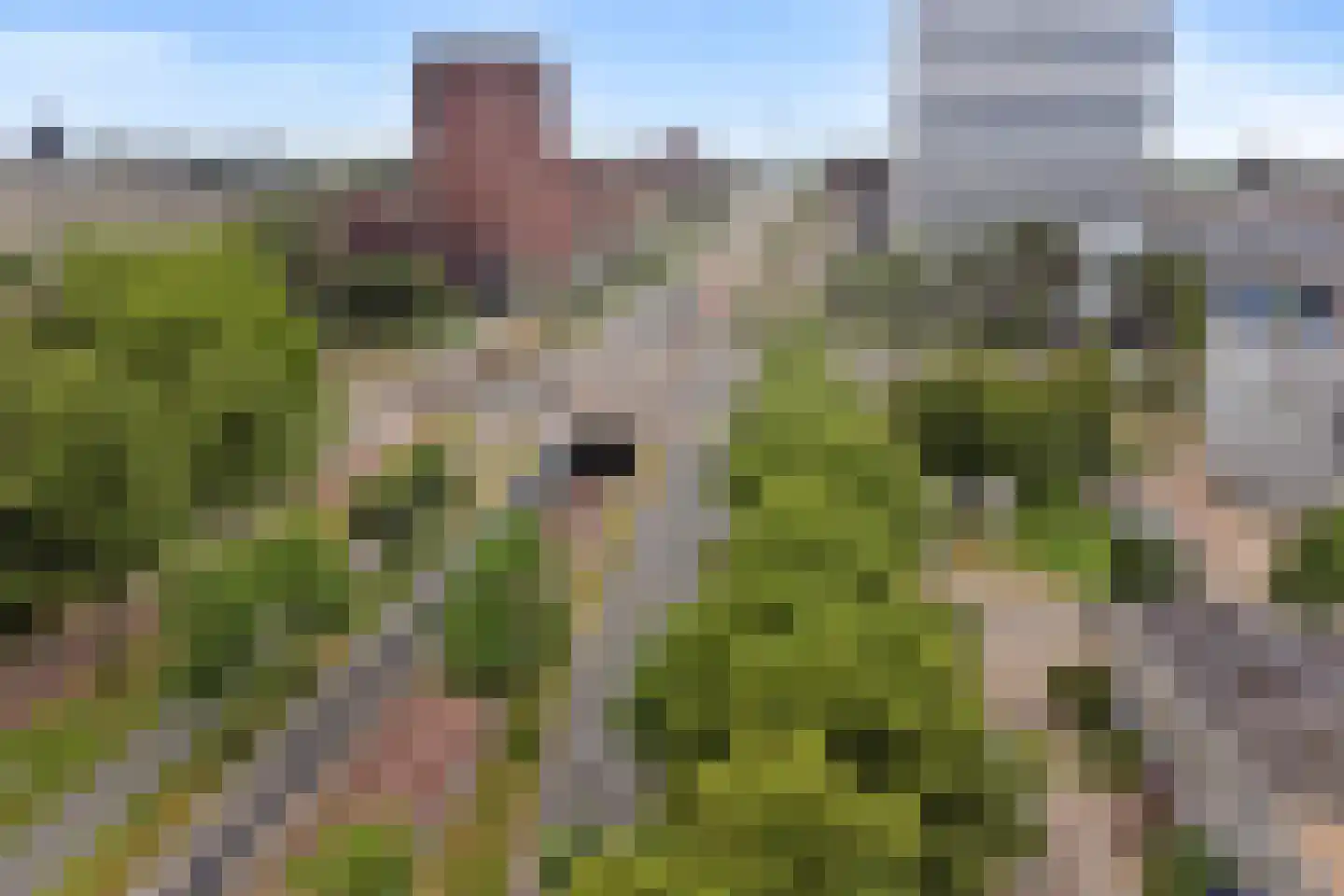 Koningin Wilhelminalaan 105 Utrecht thumbnail 39