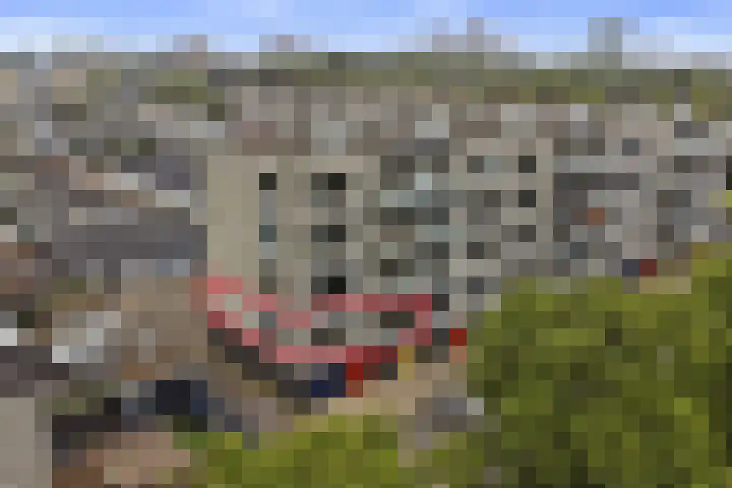 Koningin Wilhelminalaan 105 Utrecht thumbnail 4