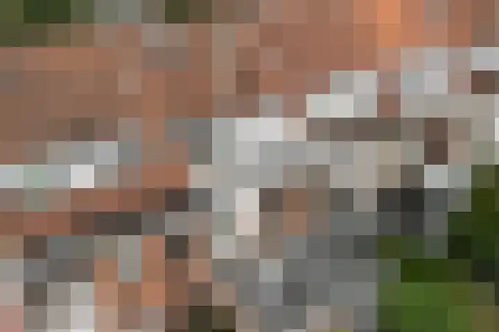 Koningin Wilhelminalaan 105 Voorburg thumbnail 46