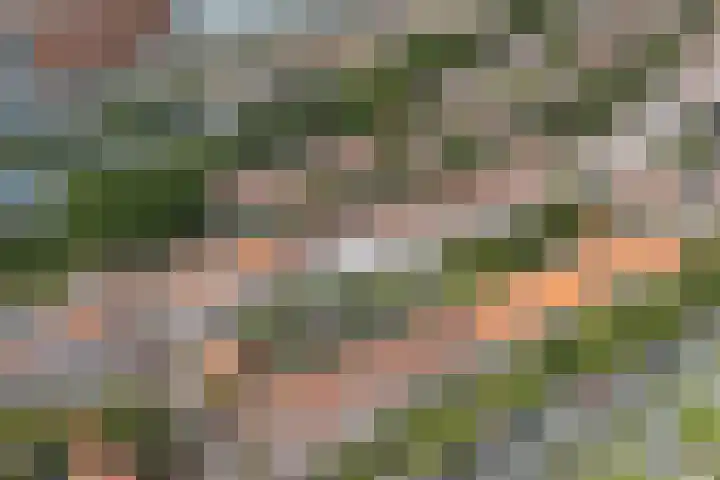 Koningin Wilhelminalaan 105 Voorburg thumbnail 61