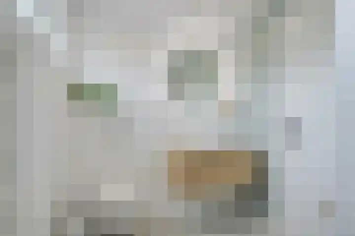 Koningin Wilhelminalaan 13 Varsseveld thumbnail 4