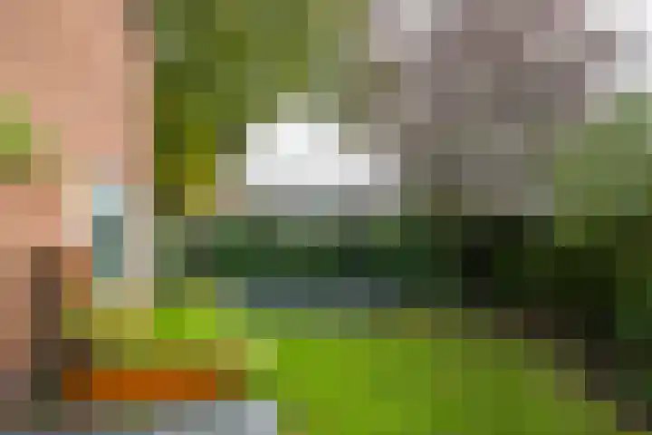 Koningin Wilhelminalaan 13 Varsseveld thumbnail 43