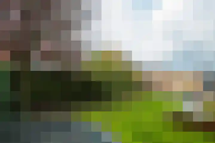 Koningin Wilhelminalaan 13 Varsseveld thumbnail 44