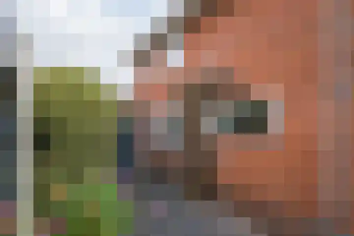 Koningin Wilhelminalaan 13 Varsseveld thumbnail 46