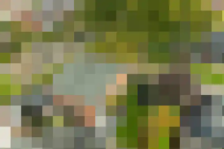 Koningin Wilhelminalaan 13 Varsseveld thumbnail 47