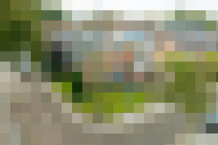 Koningin Wilhelminalaan 13 Varsseveld thumbnail 48