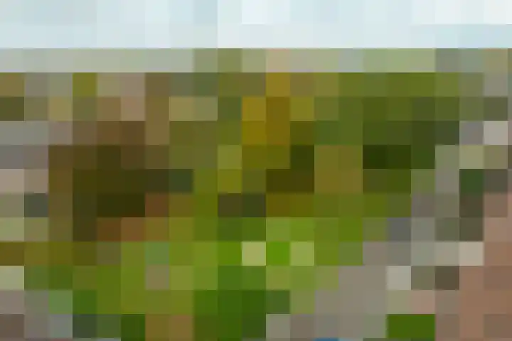 Koningin Wilhelminalaan 13 Varsseveld thumbnail 50