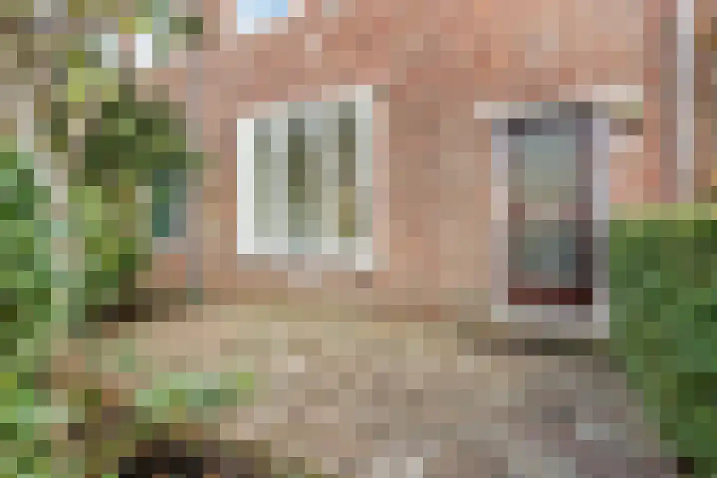 Koningin Wilhelminalaan 13 Voorschoten foto 2