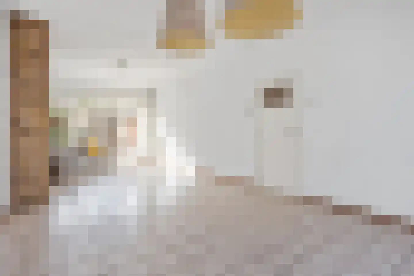 Koningin Wilhelminalaan 13 Voorschoten thumbnail 4