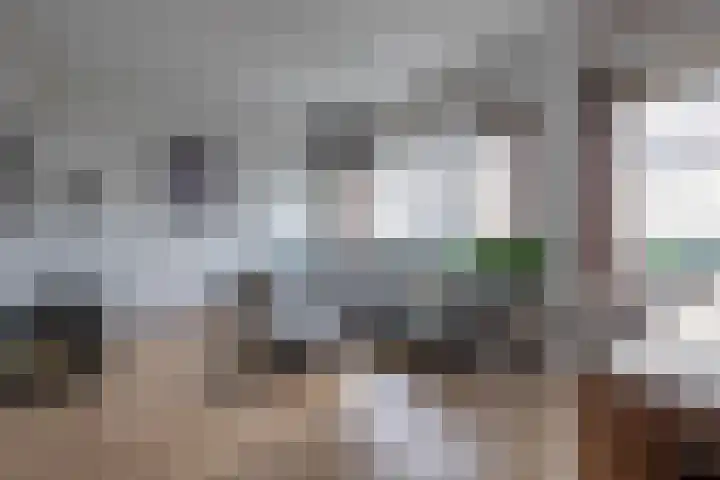 Koningin Wilhelminalaan 14 e Gorinchem thumbnail 4