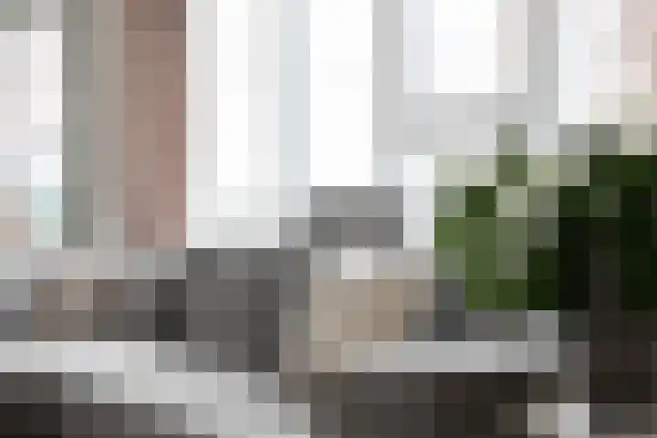Koningin Wilhelminalaan 14 e Gorinchem thumbnail 5