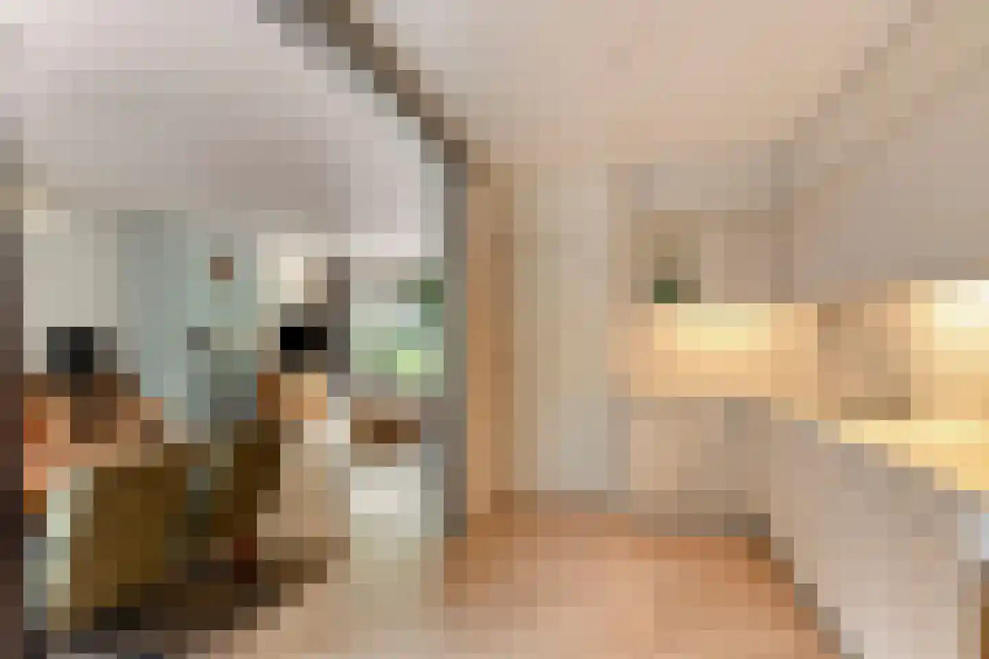 Koningin Wilhelminalaan 15 Bathmen thumbnail 7