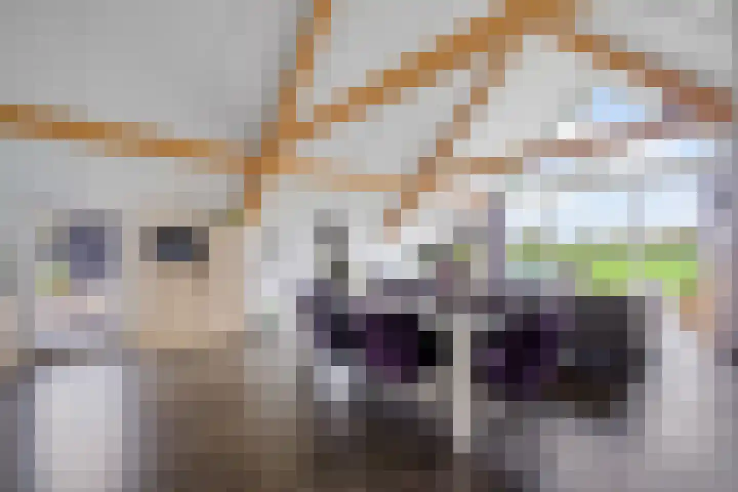 Koningin Wilhelminalaan 15 Wilhelminaoord thumbnail 17