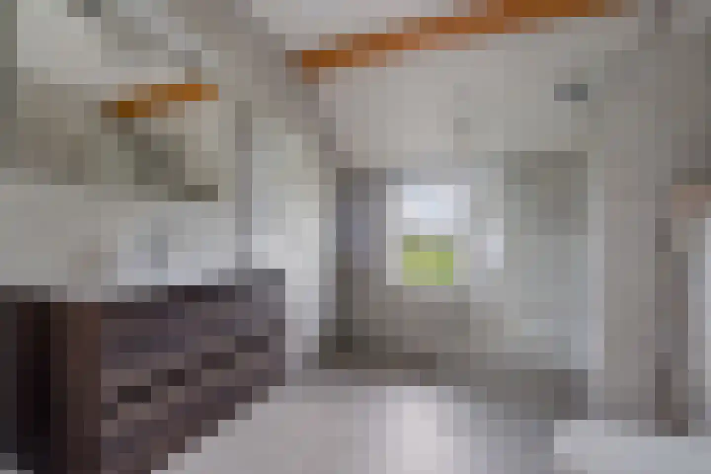 Koningin Wilhelminalaan 15 Wilhelminaoord thumbnail 22