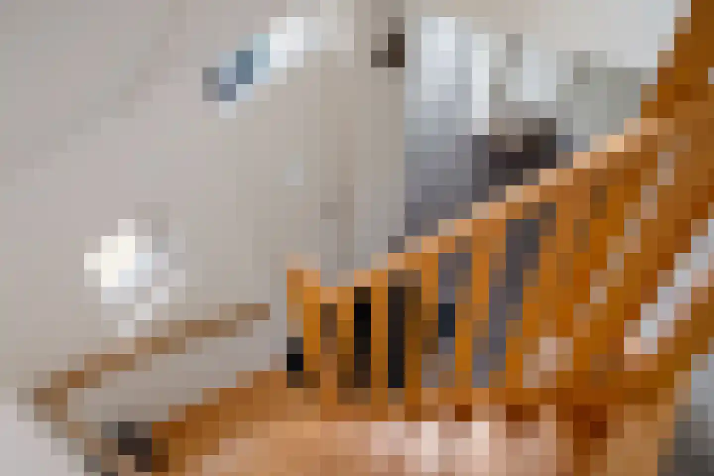 Koningin Wilhelminalaan 15 Wilhelminaoord thumbnail 28