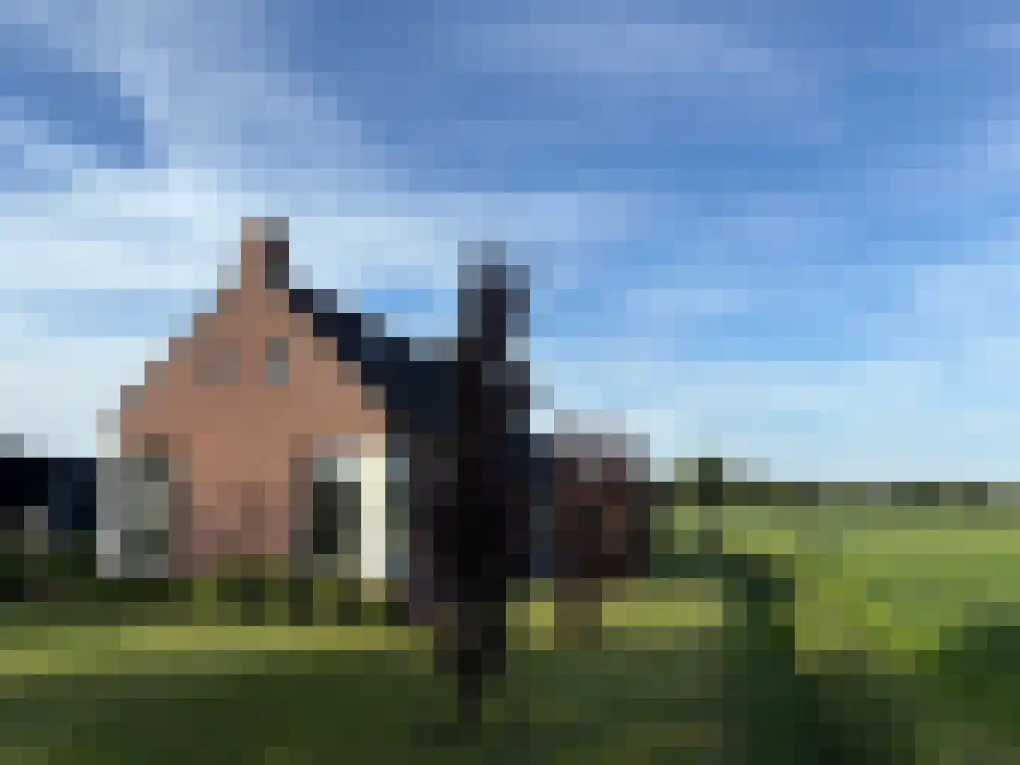 Koningin Wilhelminalaan 15 Wilhelminaoord thumbnail 5