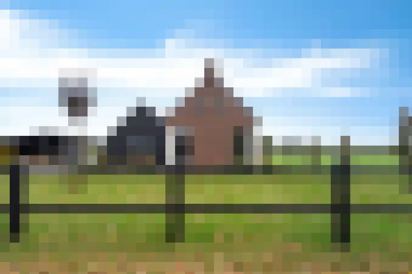 Koningin Wilhelminalaan 15 Wilhelminaoord thumbnail 7