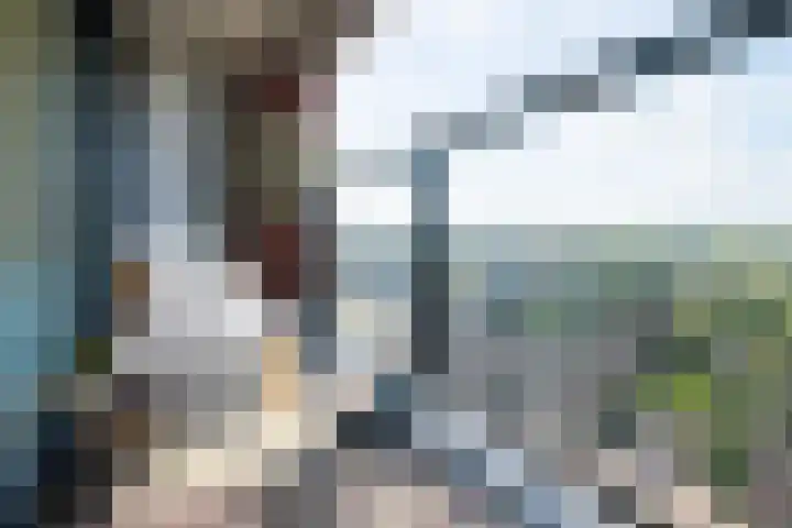 Koningin Wilhelminalaan 16 d Gorinchem thumbnail 4