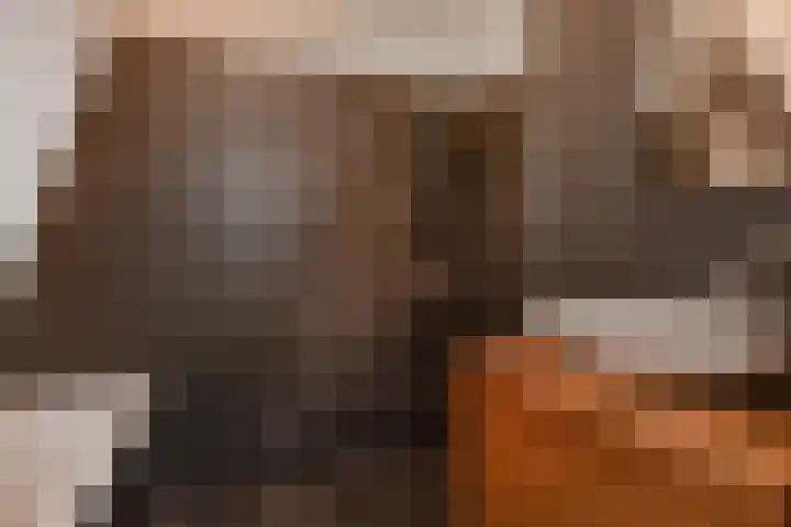 Koningin Wilhelminalaan 162 A Voorburg thumbnail 32