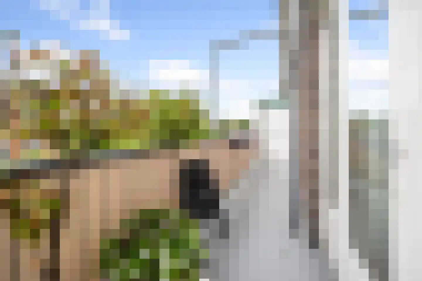 Koningin Wilhelminalaan 168 A Voorburg thumbnail 16