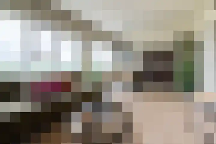 Koningin Wilhelminalaan 18 e Gorinchem thumbnail 22
