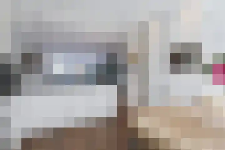Koningin Wilhelminalaan 19 Leusden thumbnail 18