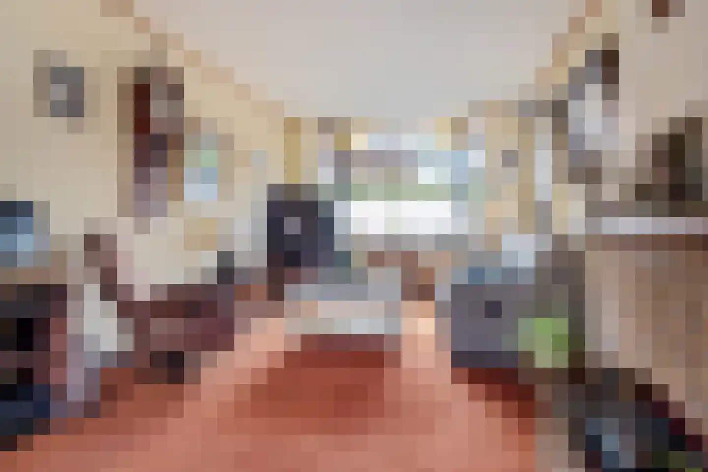 Koningin Wilhelminalaan 19 Ouderkerk aan de Amstel thumbnail 15