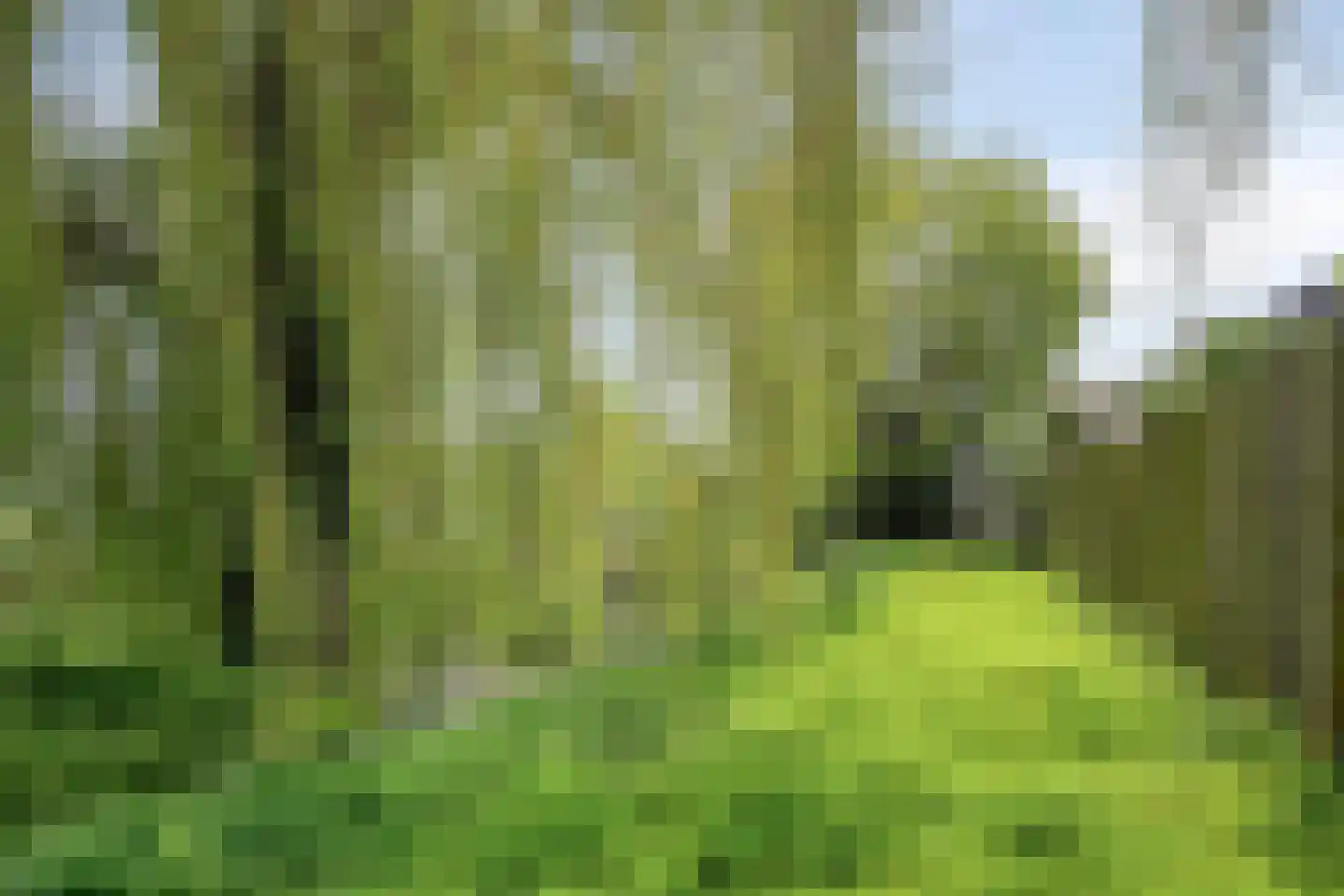 Koningin Wilhelminalaan 19 Waardenburg thumbnail 37