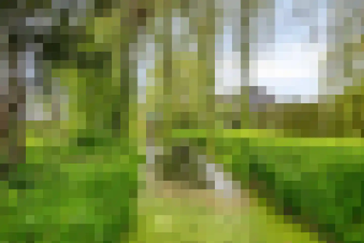 Koningin Wilhelminalaan 19 Waardenburg thumbnail 38