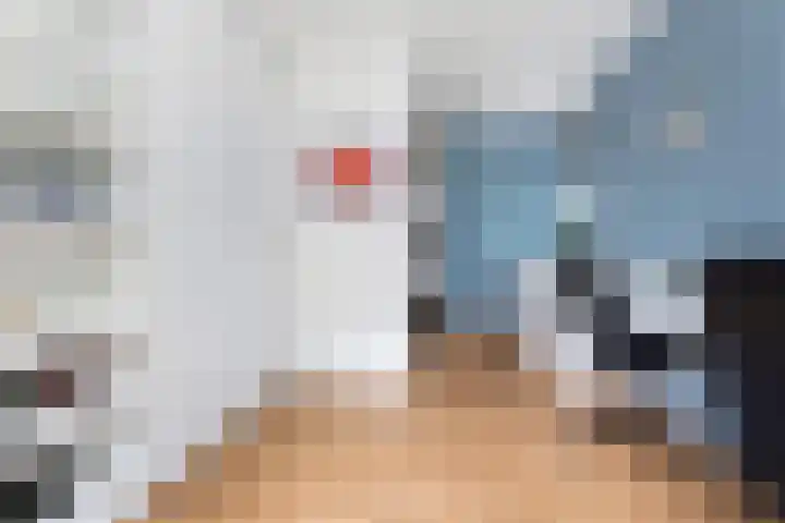 Koningin Wilhelminalaan 19 Wezep thumbnail 28