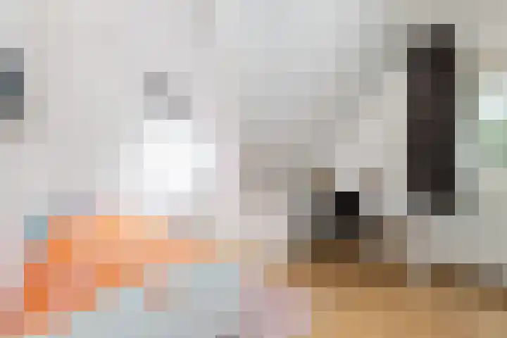 Koningin Wilhelminalaan 19 Wezep thumbnail 40