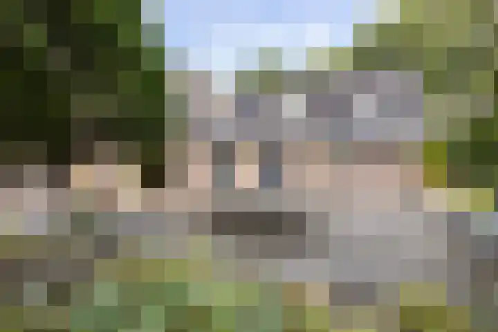 Koningin Wilhelminalaan 19 Wezep thumbnail 47