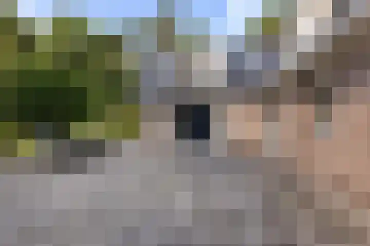 Koningin Wilhelminalaan 19 Wezep thumbnail 48